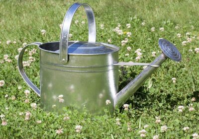 watering-can-397290__480-1